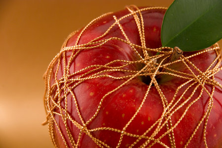 apple wrapped golden threadの写真素材