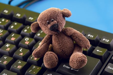  bear on the keyboardの写真素材