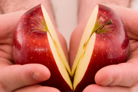  half of the apple in the hands of