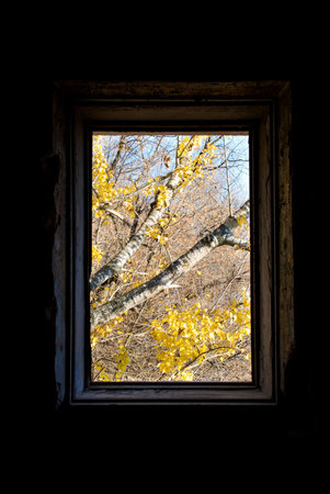 autumn view through the old window frame