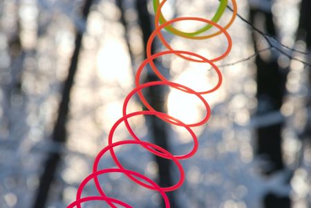 	 toy rainbow in the woodsの写真素材