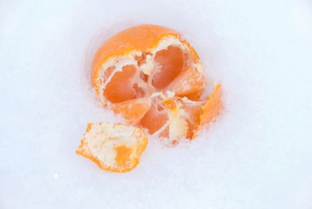  Mandarin in the snowの写真素材