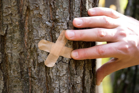 	 man glue patch on a tree