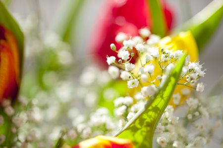 a spring bouquet with tulipsの写真素材