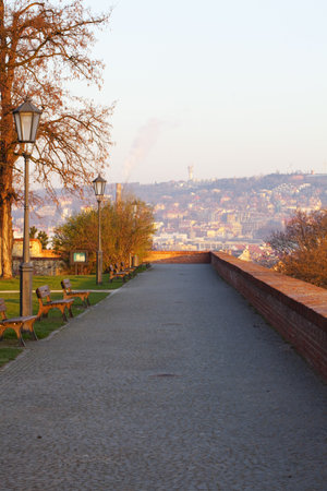 park avenue with paths and treesの写真素材