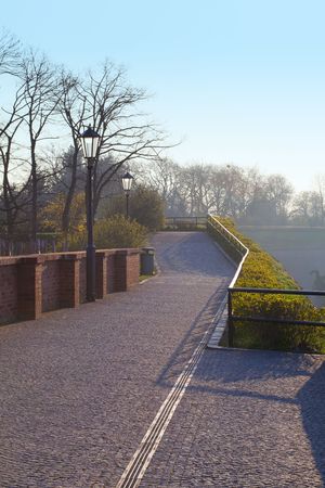 park avenue with paths and treesの写真素材