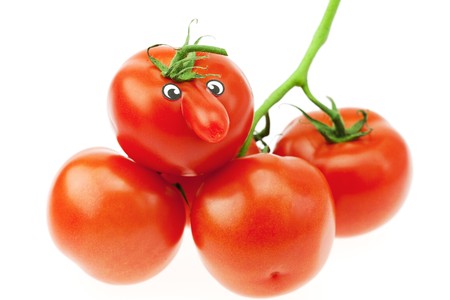 bunch of tomatoes isolated on whiteの写真素材