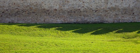 brick wall and green grassの写真素材