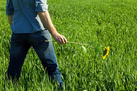 young man standing with a sunflower in the green fieldの写真素材