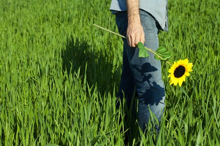 young man standing with a sunflower in the green fieldの写真素材