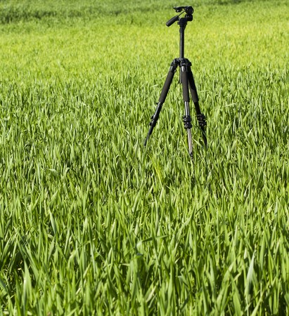 tripod standing in the green fieldの写真素材