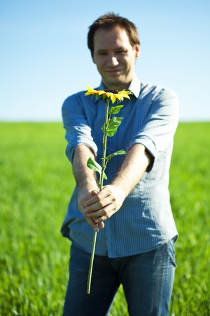 a young man and a sunflower fieldの写真素材