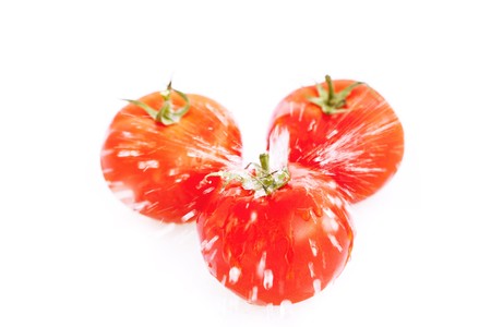 tomatoes with drops of water isolated on whiteの写真素材