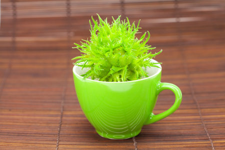 hazelnuts in a bowl on a bamboo matの写真素材