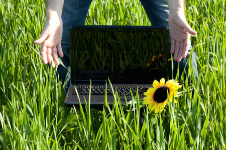 laptop in green grass with a sunflower and the hand of manの写真素材