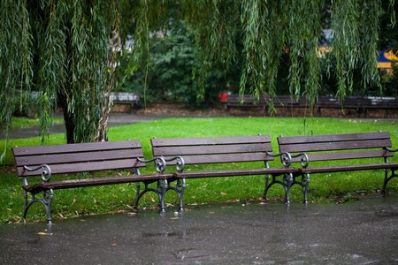 wet benches in the park on rainの写真素材