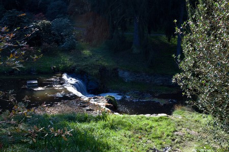 beautiful autumn landscape with colorful trees and a pondの写真素材