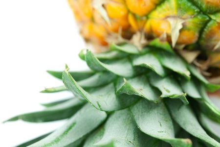 pineapple isolated on whiteの写真素材