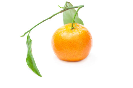 mandarin with green leaves isolated on whiteの写真素材