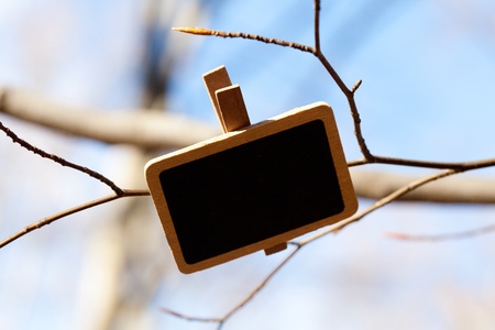 blackboard attached to a tree branch in the forestの写真素材
