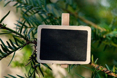 blackboard attached to a tree branch in the forestの写真素材