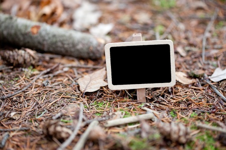 blackboard attached to a tree branch in the forestの写真素材