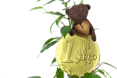 ficus ,one euro coin and Teddy Bear  isolated on whiteの写真素材