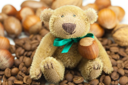 teddy bear with a bow, coffee beans and nutsの写真素材