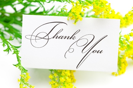 yellow field  flower and a card signed thank you isolated on whiteの写真素材