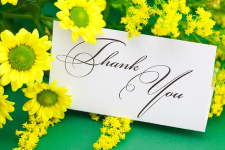 yellow daisy and card signed thank you on green backgroundの写真素材