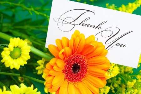 gerbera,yellow daisy and card signed thank you on green backgroundの写真素材