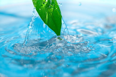 water drop and green leaves on a blue backgroundの写真素材