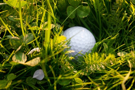 background of spring green grass and golf ballの写真素材