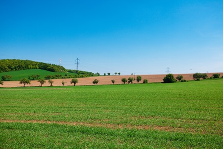 meadow and power line against the blue skyの写真素材
