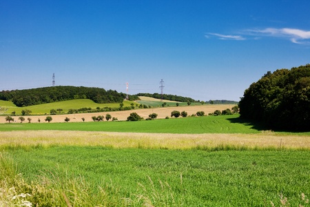green field on background blue skyの写真素材