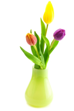colorful tulips in vase  isolated on whiteの写真素材