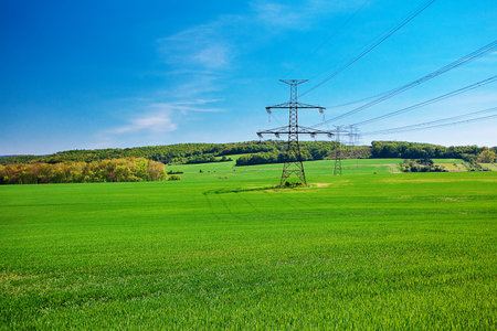 meadow and power line against the blue sky