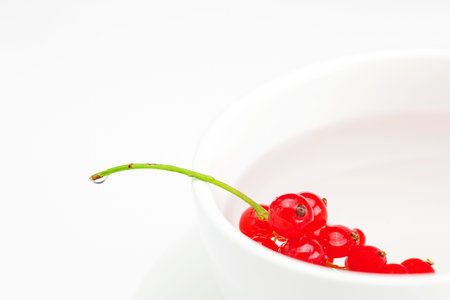 branch of red currants and a cup with a plate isolated on whiteの写真素材