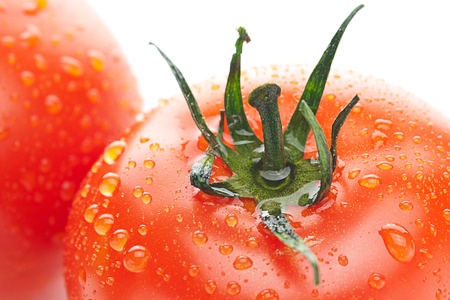 background of the tomato with water dropsの写真素材