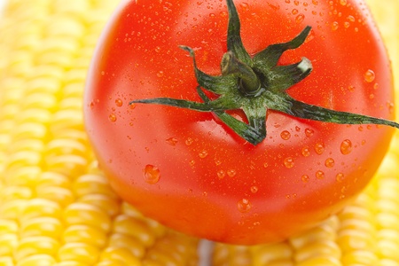 background of ripe yellow corn and tomatoの写真素材