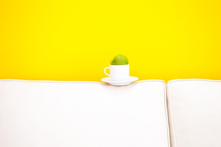 white sofa and cup with tangerine against a yellow wall in the apartmentの写真素材