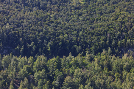 background of mountains with green trees