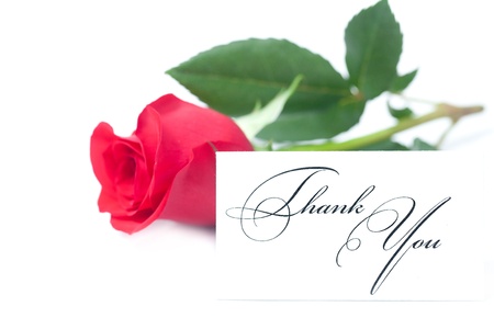 beautiful red rose and a card with the words thank you isolated on whiteの写真素材