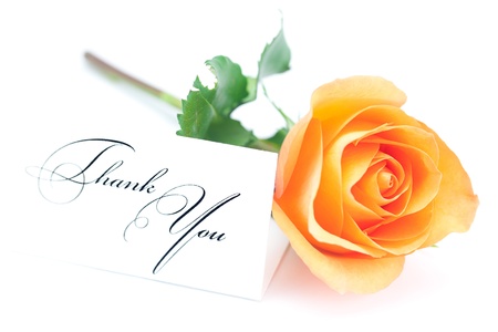 beautiful orange rose and a card with the words thank you isolated on whiteの写真素材