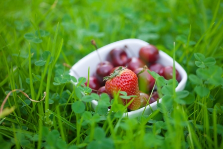 Cherries and strawberry in a ceramic bowl on green grassの写真素材