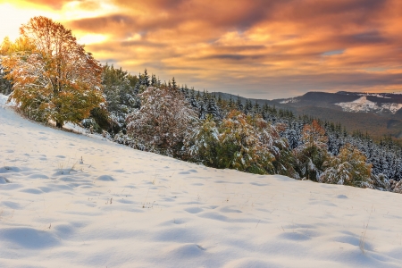 Amazing lights,clouds and winter panorama in Carpathians Transylvania,Romaniaの写真素材