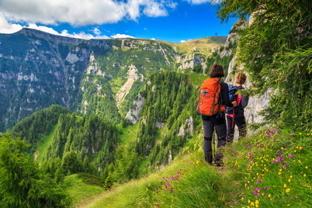 Woman's hiking team with colorful backpacks walking on narrow trail,Bucegi mountains,Carpathians,Transylvania,Romania,Europeの写真素材