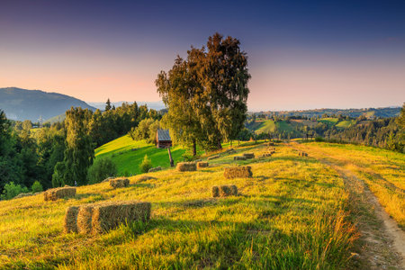 Stunning summer alpine landscape with hay bales on the hill,Bran,Transylvania,Romania,Europeの写真素材