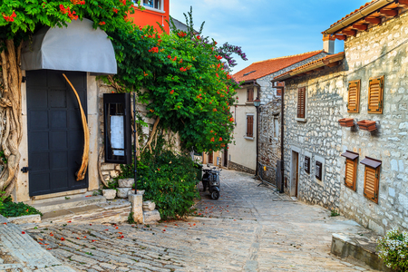 Spectacular stone paved street and restaurant entrance with colorful mediterranean flowers, Rovinj old town,Istria region,Croatia,Europeの写真素材