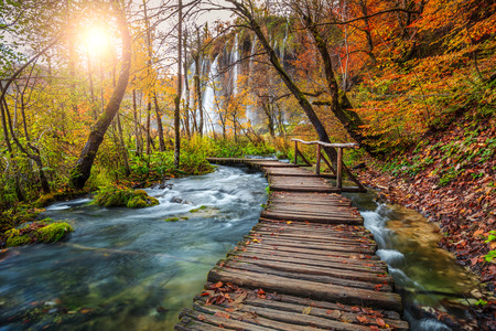 Majestic touristic wooden pathway in the colorful autumn deep forest with clean brook and spectacular waterfalls, Plitvice National Park, Croatia, Europeの写真素材